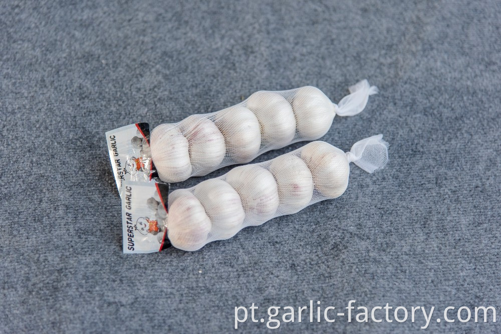 Chinese factory Wholesale Fresh Garlic